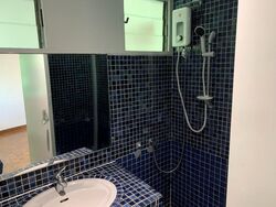 Dunearn Road (D11), Condominium #628350971